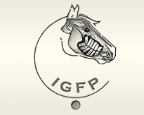 IGFP congress Equus Dental Harmony